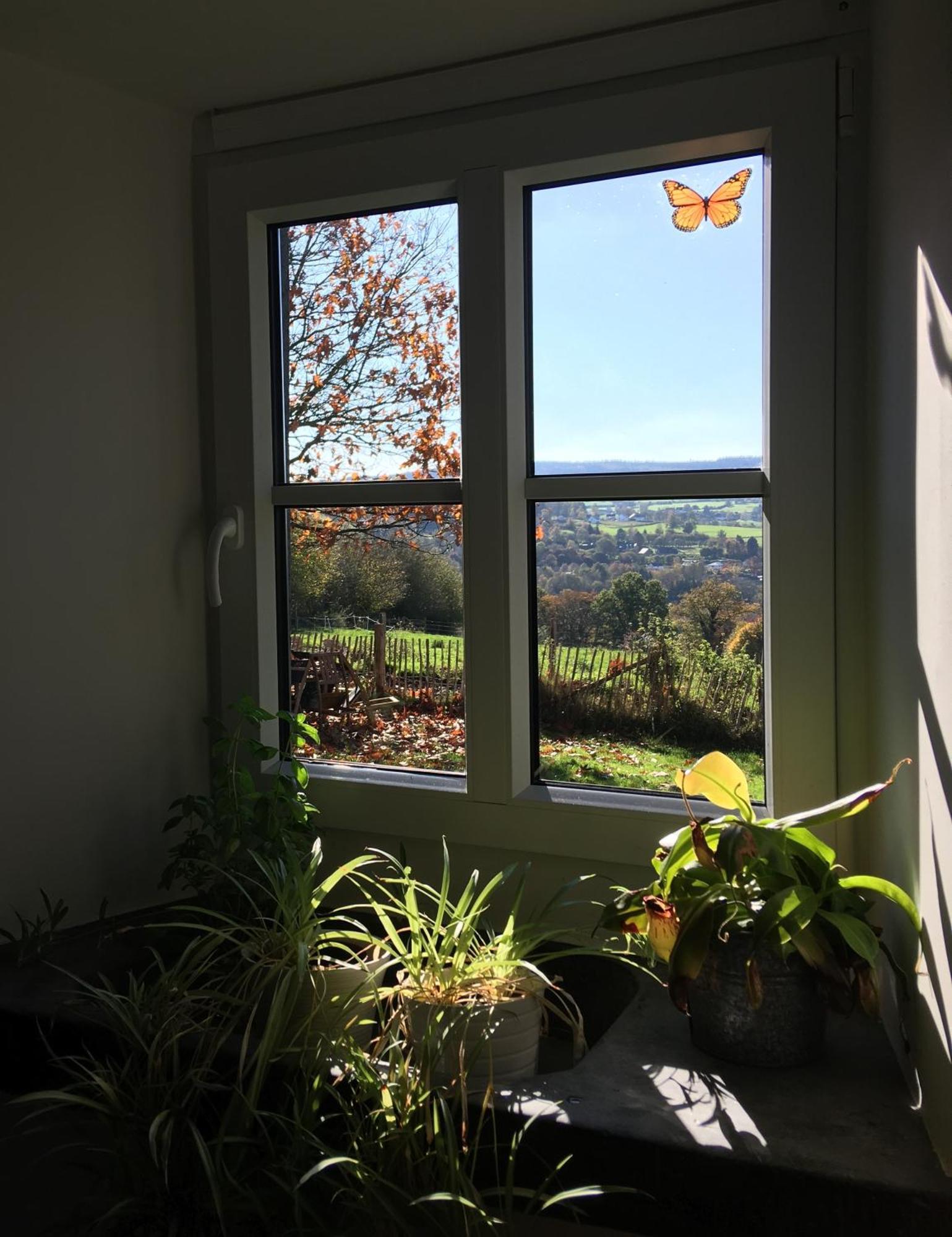 La Maison De Julienne - Ligneuville マルメディ エクステリア 写真